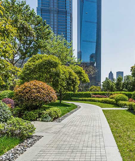 LinkNow Media Landscaping