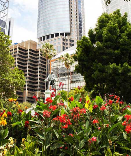 LinkNow Media Landscaping Company