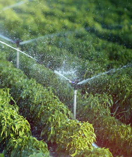 LinkNow Media Irrigation System Repair