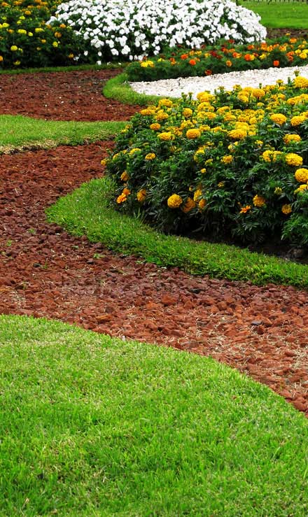 LinkNow Media Landscape Architecture
