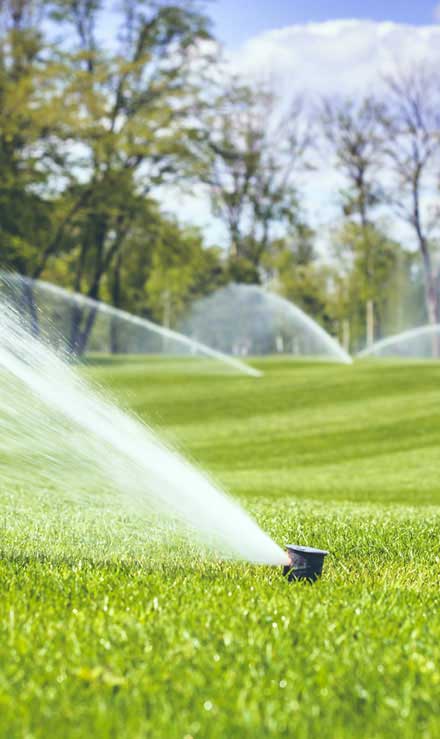 LinkNow Media Sprinkler Installation